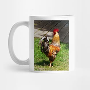 Chickens - Strutting Rooster Mug